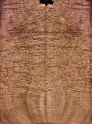 carved tops 7